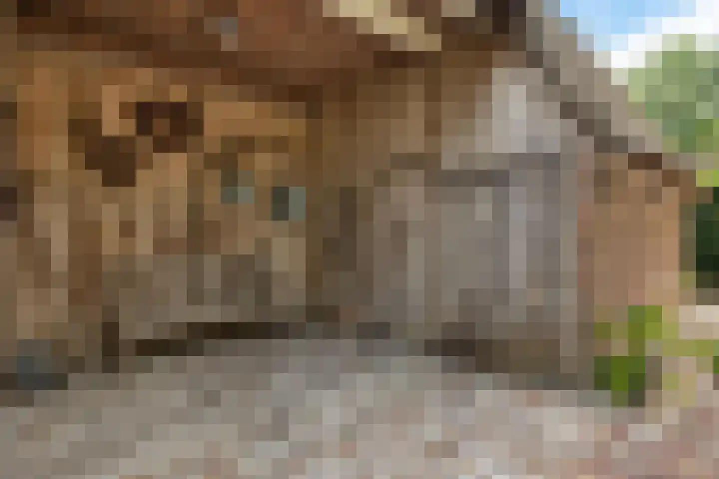 Dorpsstraat 29 Gees thumbnail 9