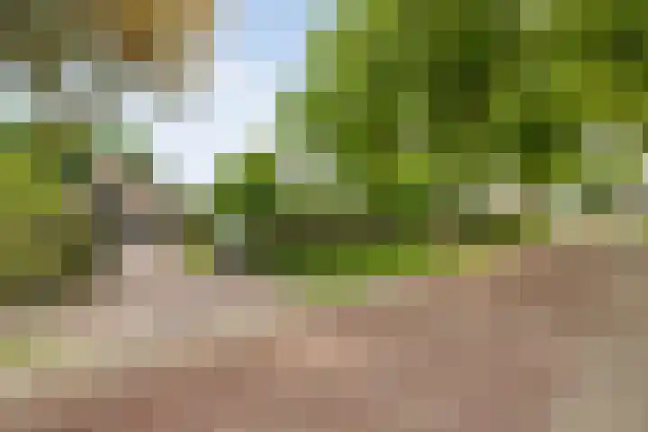 Dorpsstraat 29 Havelte thumbnail 10