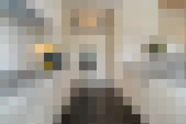 Dorpsstraat 29 Havelte thumbnail 25