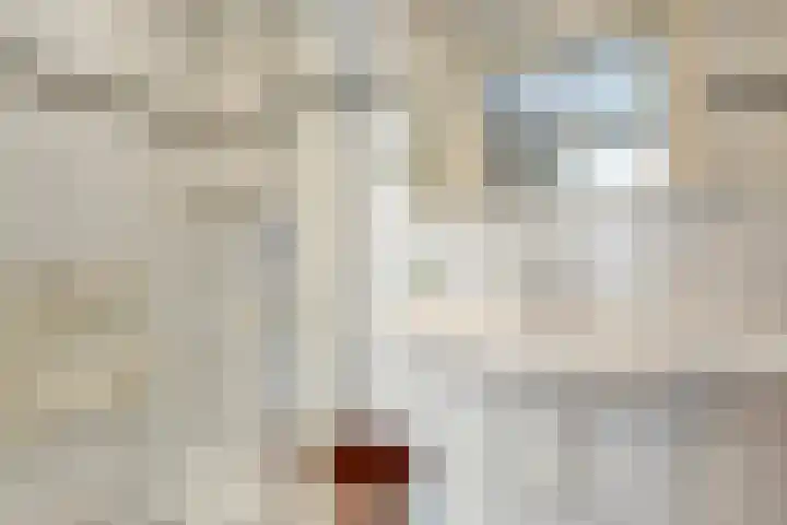 Dorpsstraat 29 Havelte thumbnail 35