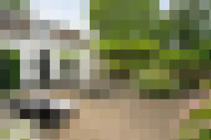 Dorpsstraat 29 Havelte thumbnail 5