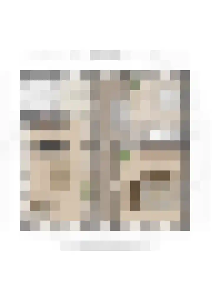 Dorpsstraat 29 Havelte thumbnail 82