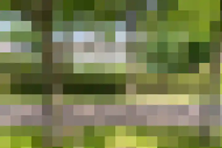 Dorpsstraat 29 Havelte thumbnail 9