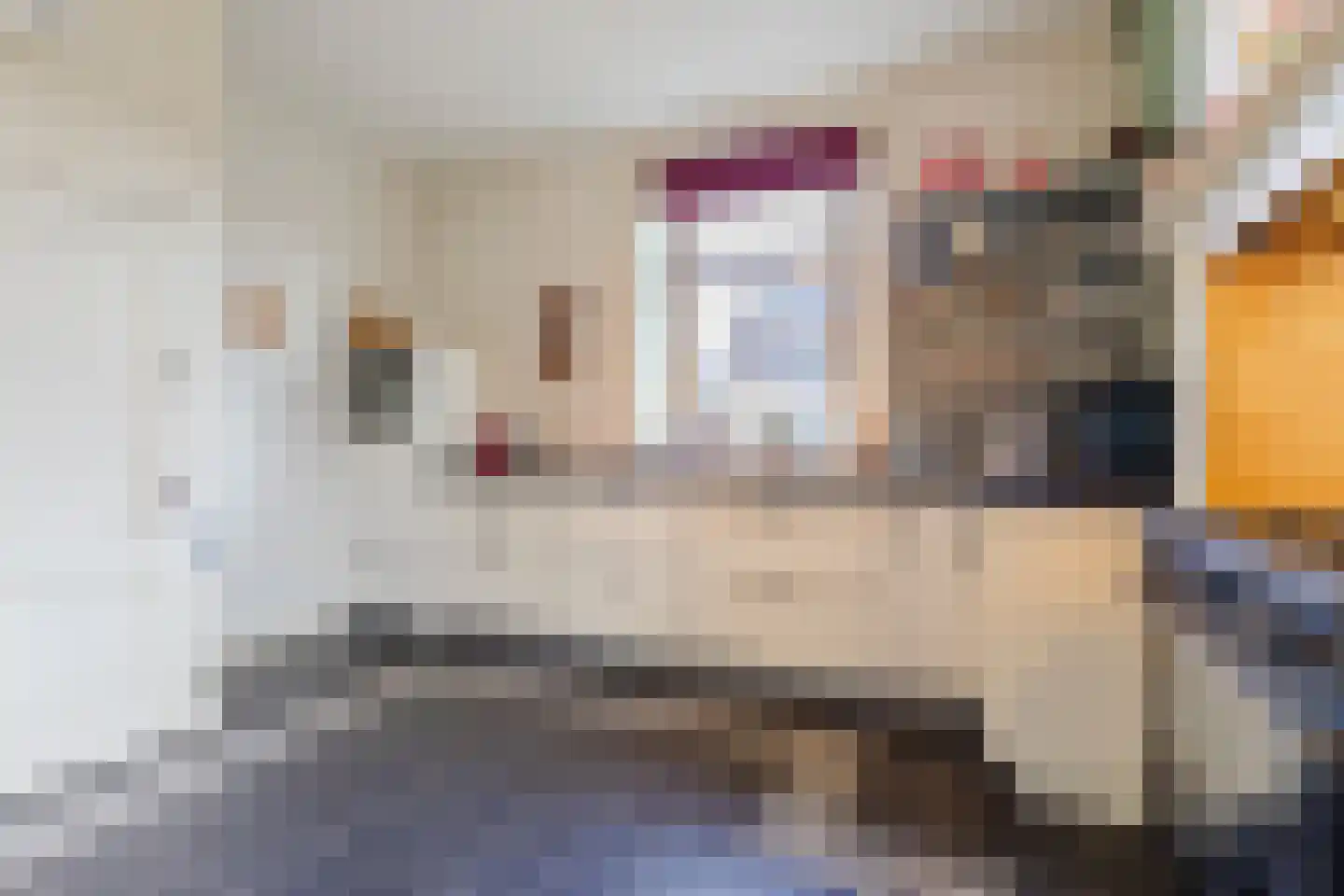 Dorpsstraat 29 Heteren thumbnail 21
