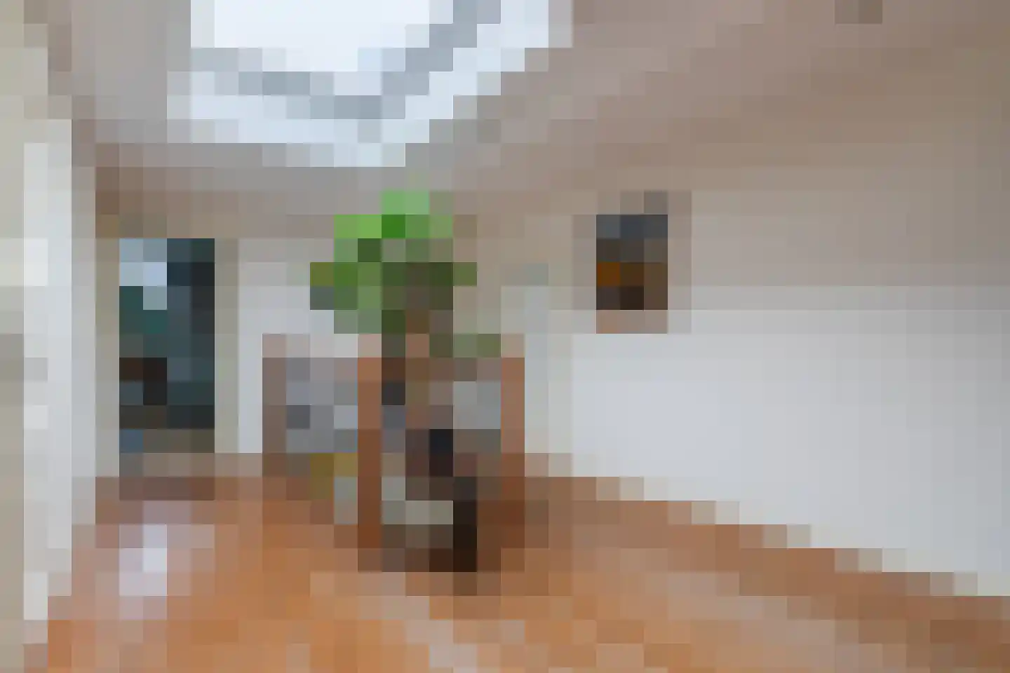 Dorpsstraat 29 Heteren thumbnail 34