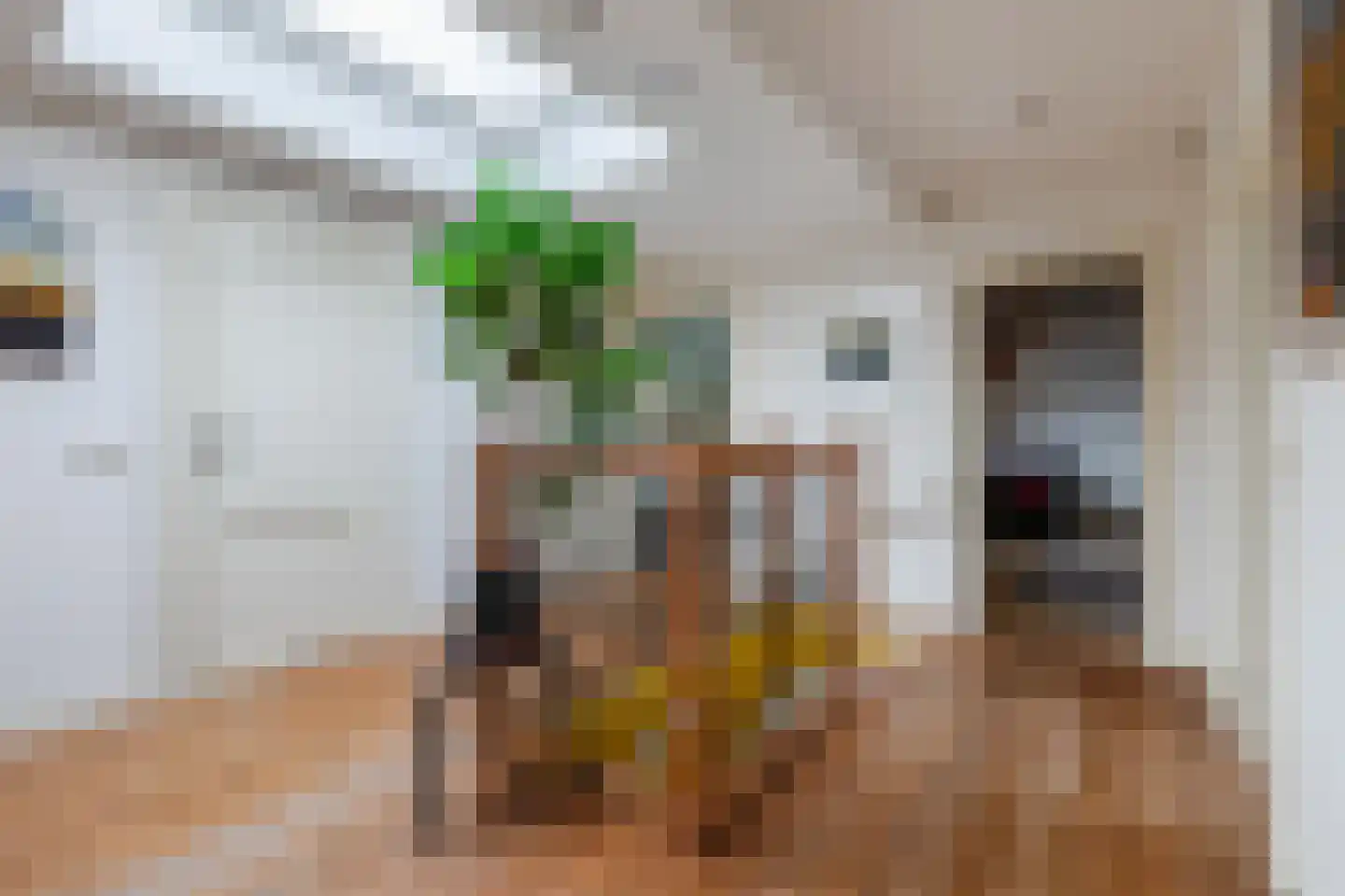 Dorpsstraat 29 Heteren thumbnail 35