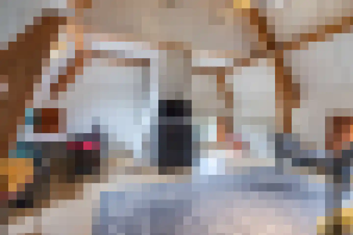 Dorpsstraat 29 Heteren thumbnail 51