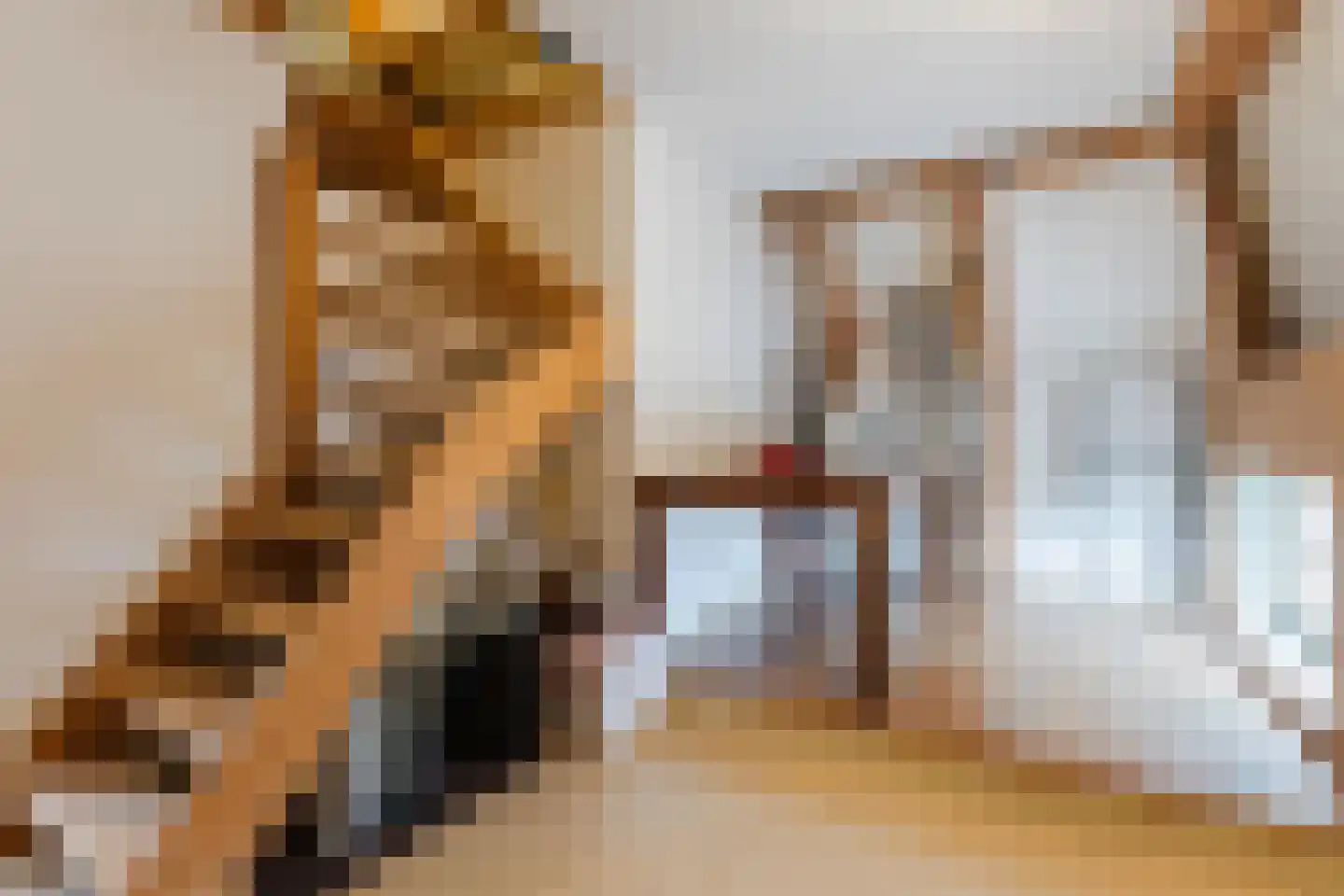 Dorpsstraat 29 Heteren thumbnail 62