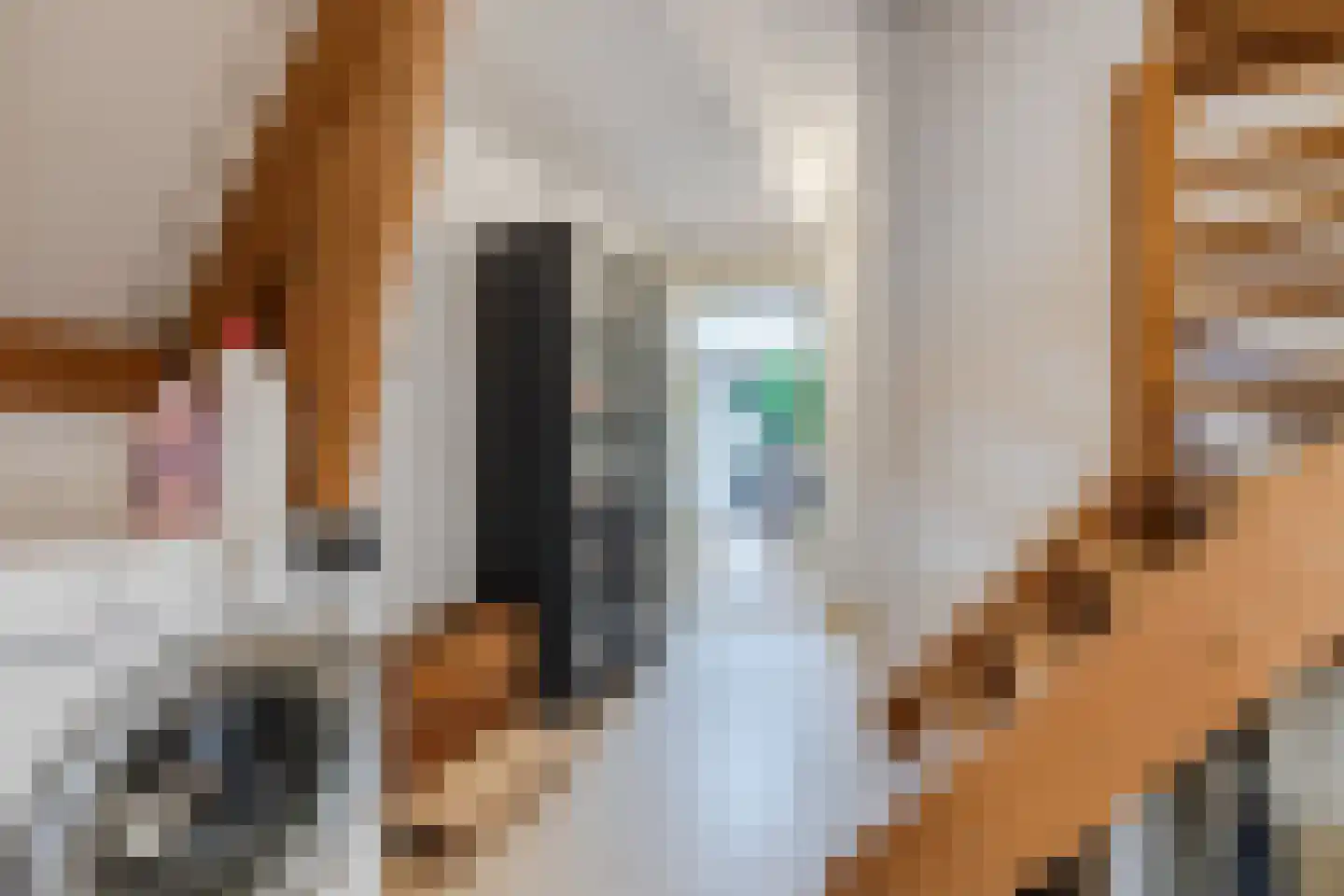 Dorpsstraat 29 Heteren thumbnail 64