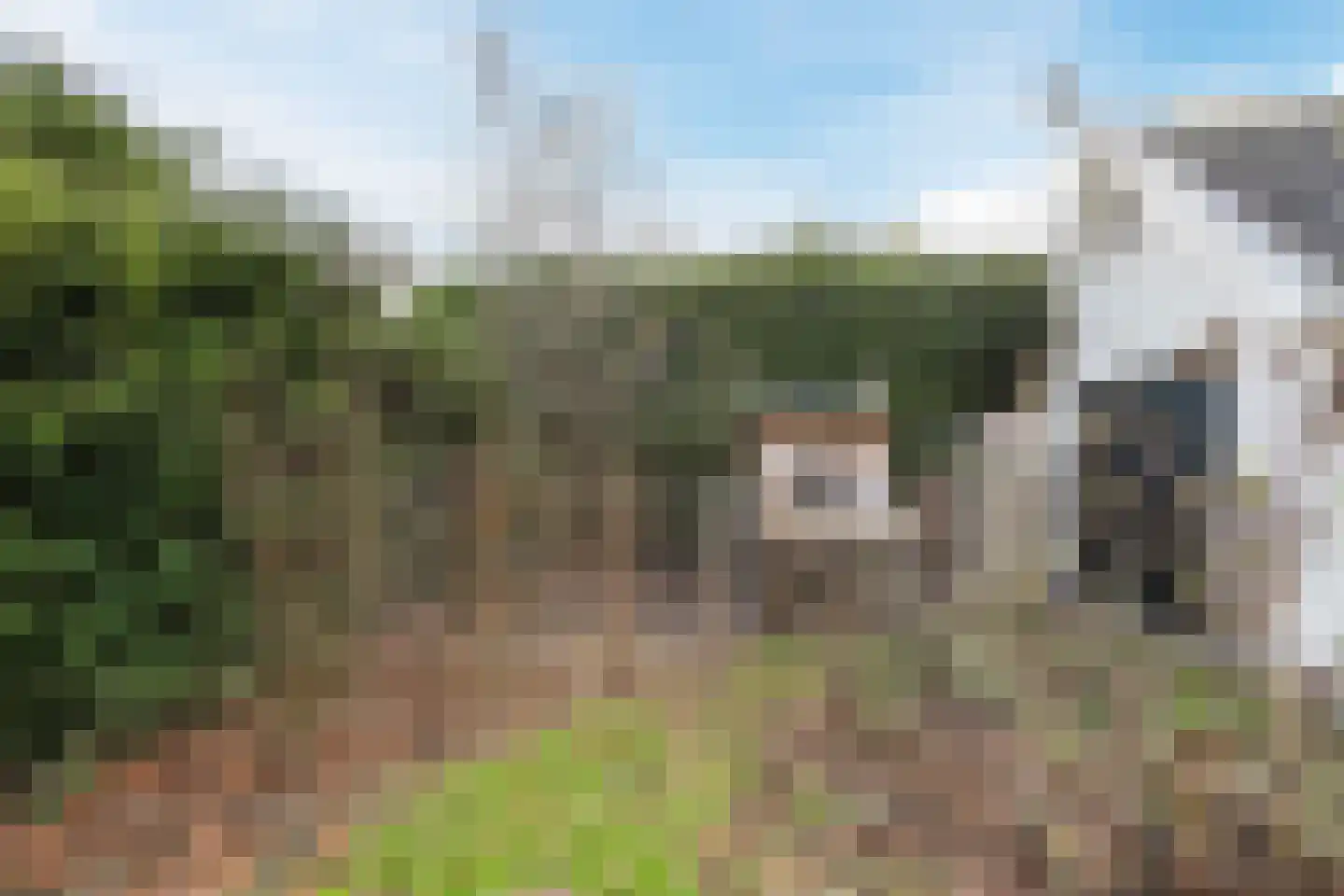 Dorpsstraat 29 Heteren thumbnail 71