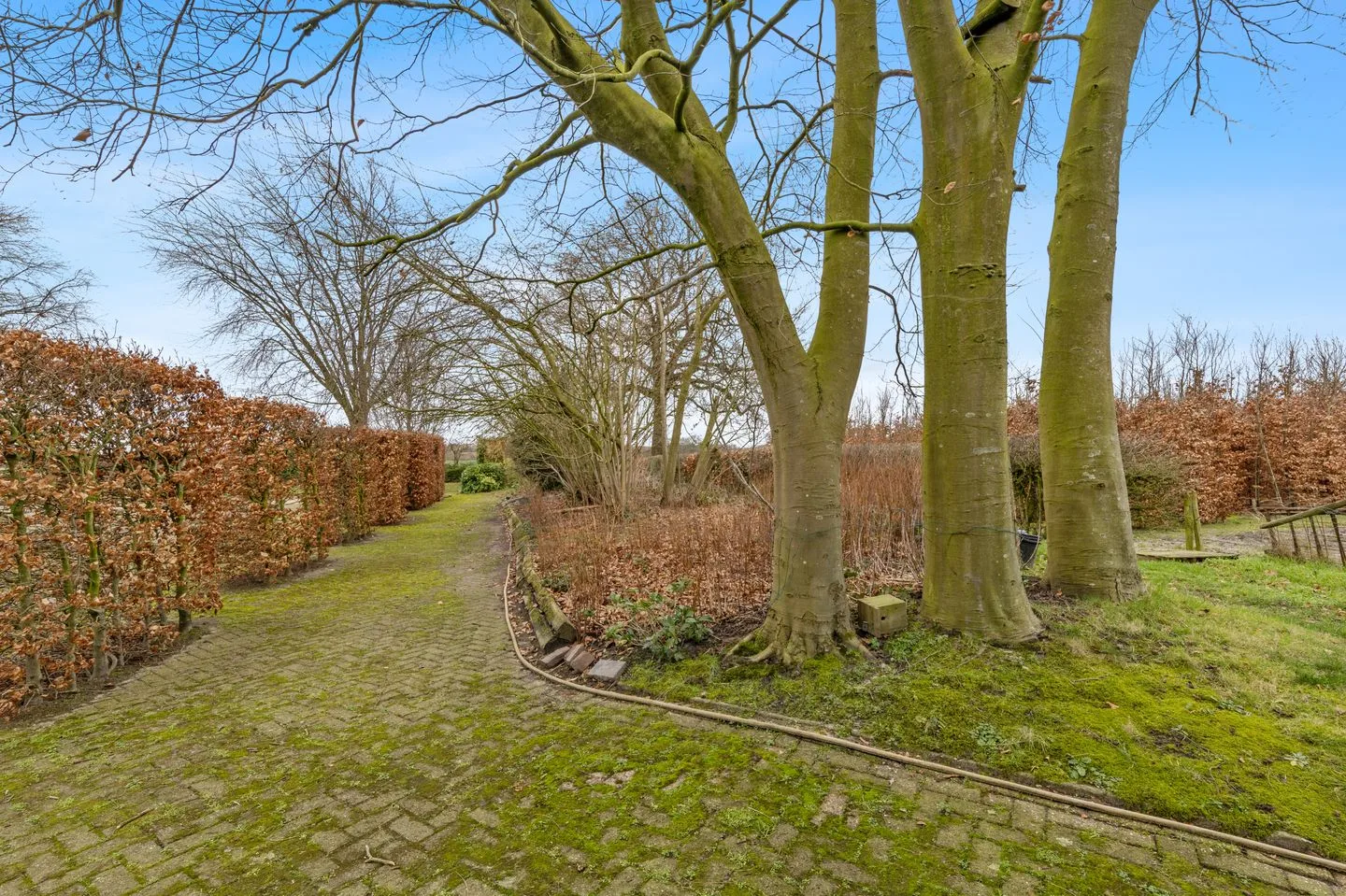 Dorpsstraat 29 Nispen thumbnail 48