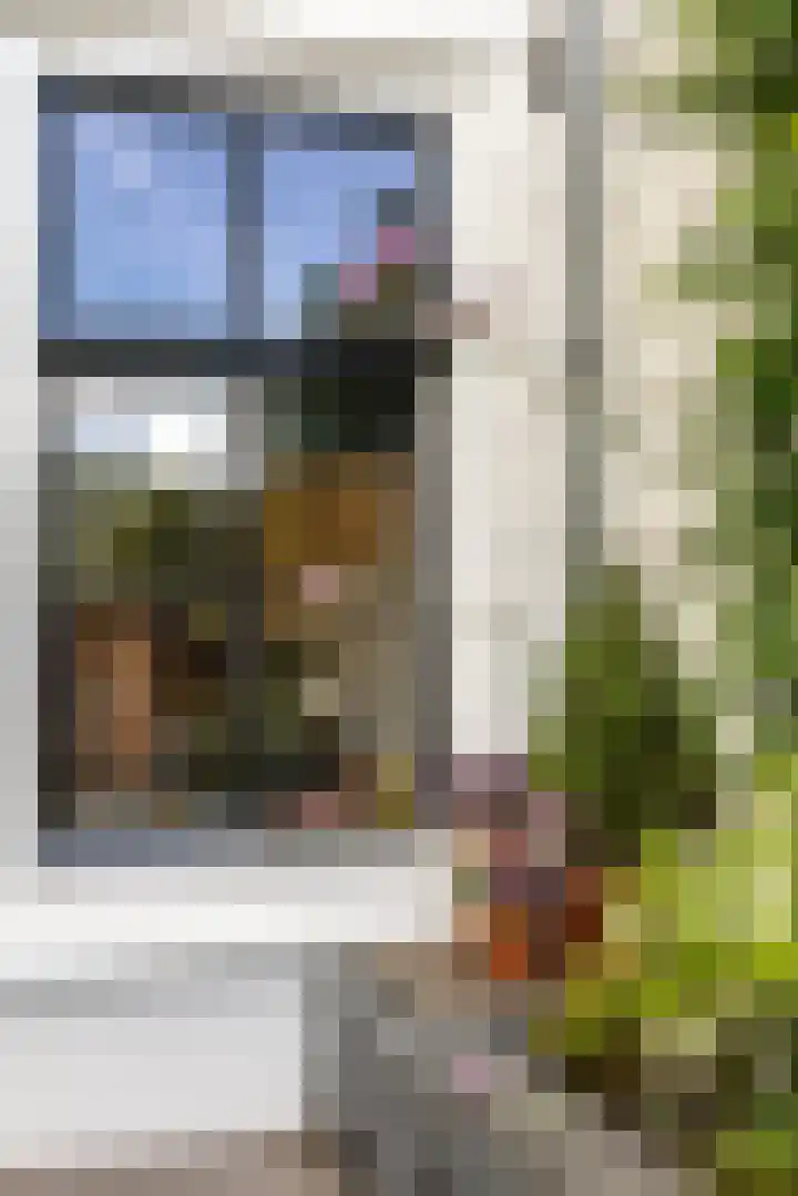 Dorpsstraat 29 Ouderkerk aan den IJssel thumbnail 42