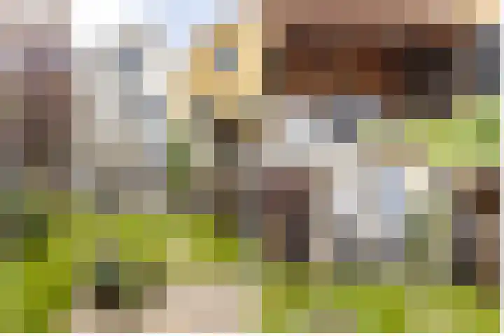 Dorpsstraat 29 Ouderkerk aan den IJssel thumbnail 43