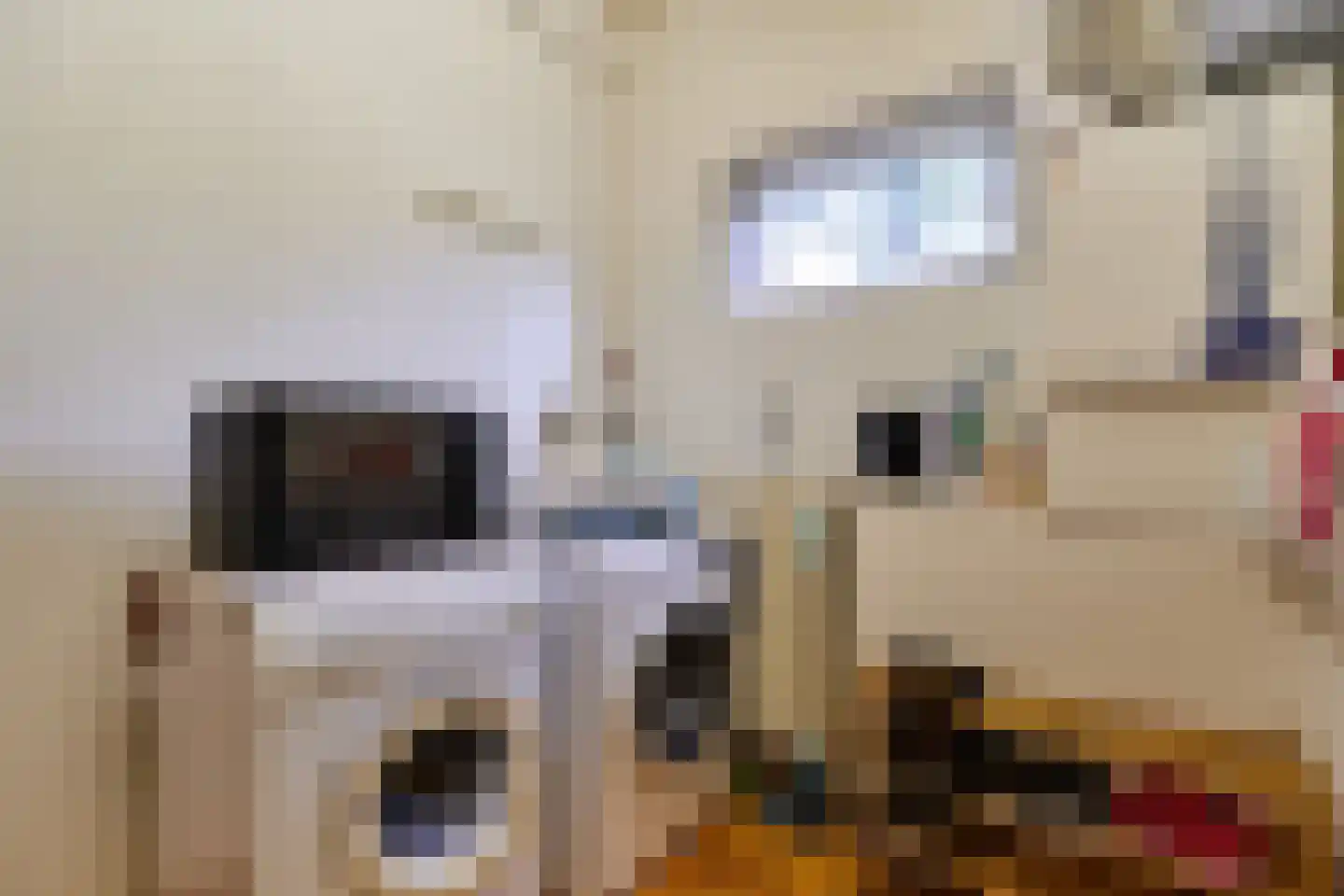 Dorpsstraat 29 Sellingen thumbnail 26
