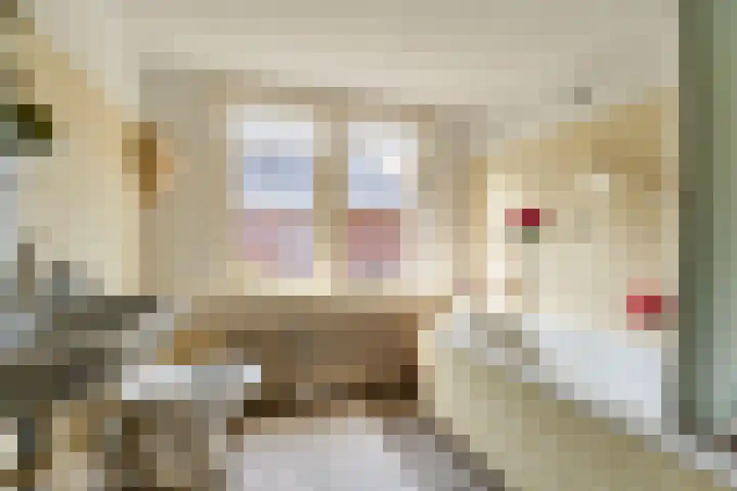 Dorpsstraat 29 Sellingen thumbnail 34