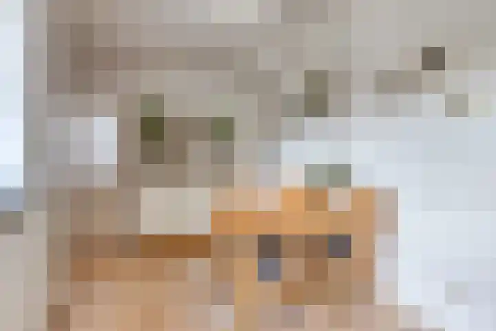 Dorpsstraat 29 Ulicoten thumbnail 16