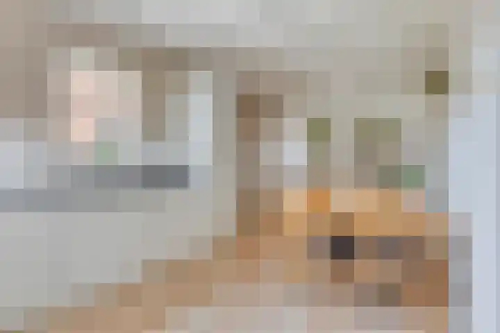 Dorpsstraat 29 Ulicoten thumbnail 17