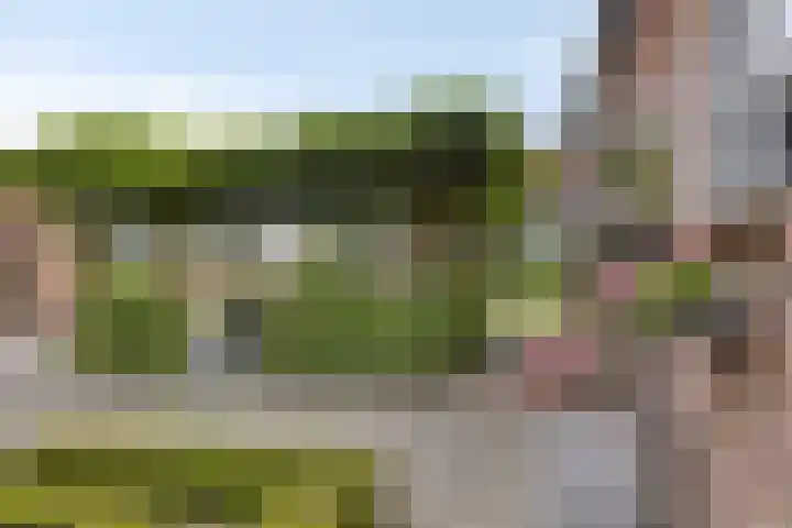Dorpsstraat 29 Ulicoten thumbnail 54