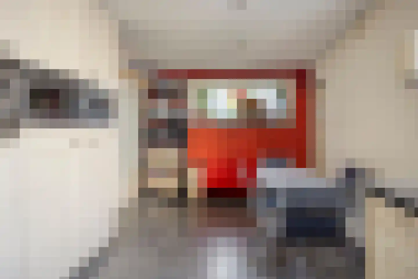 Dorpsstraat 29 Zwartewaal thumbnail 22