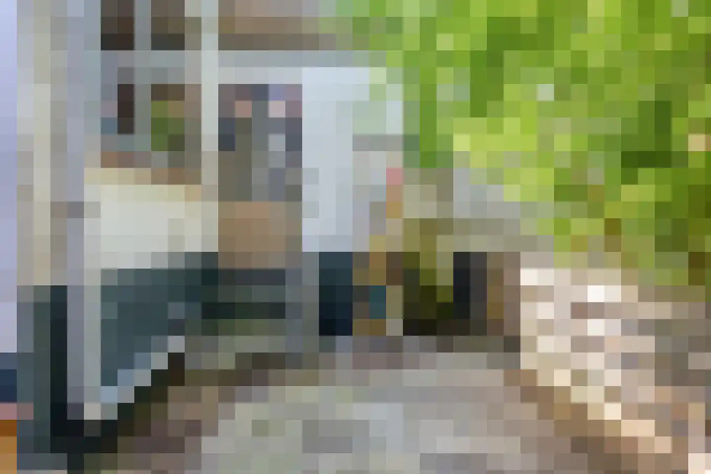 Dorpsstraat 29 Zwartewaal thumbnail 23