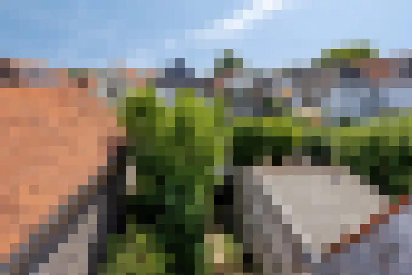 Dorpsstraat 29 Zwartewaal thumbnail 24
