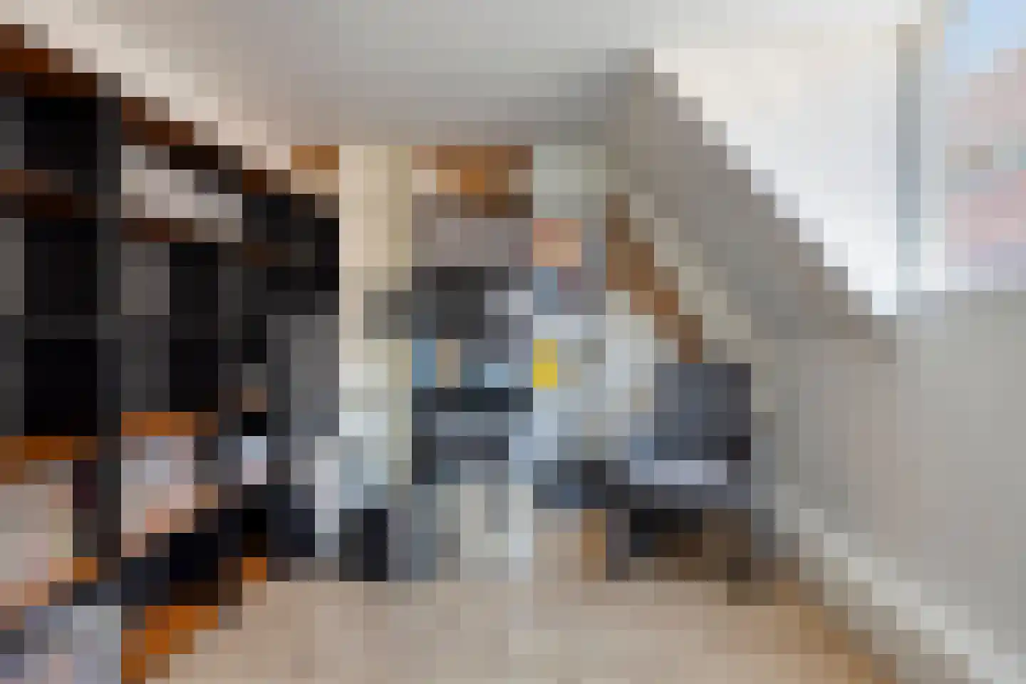 Dorpsstraat 29 Zwartewaal thumbnail 34