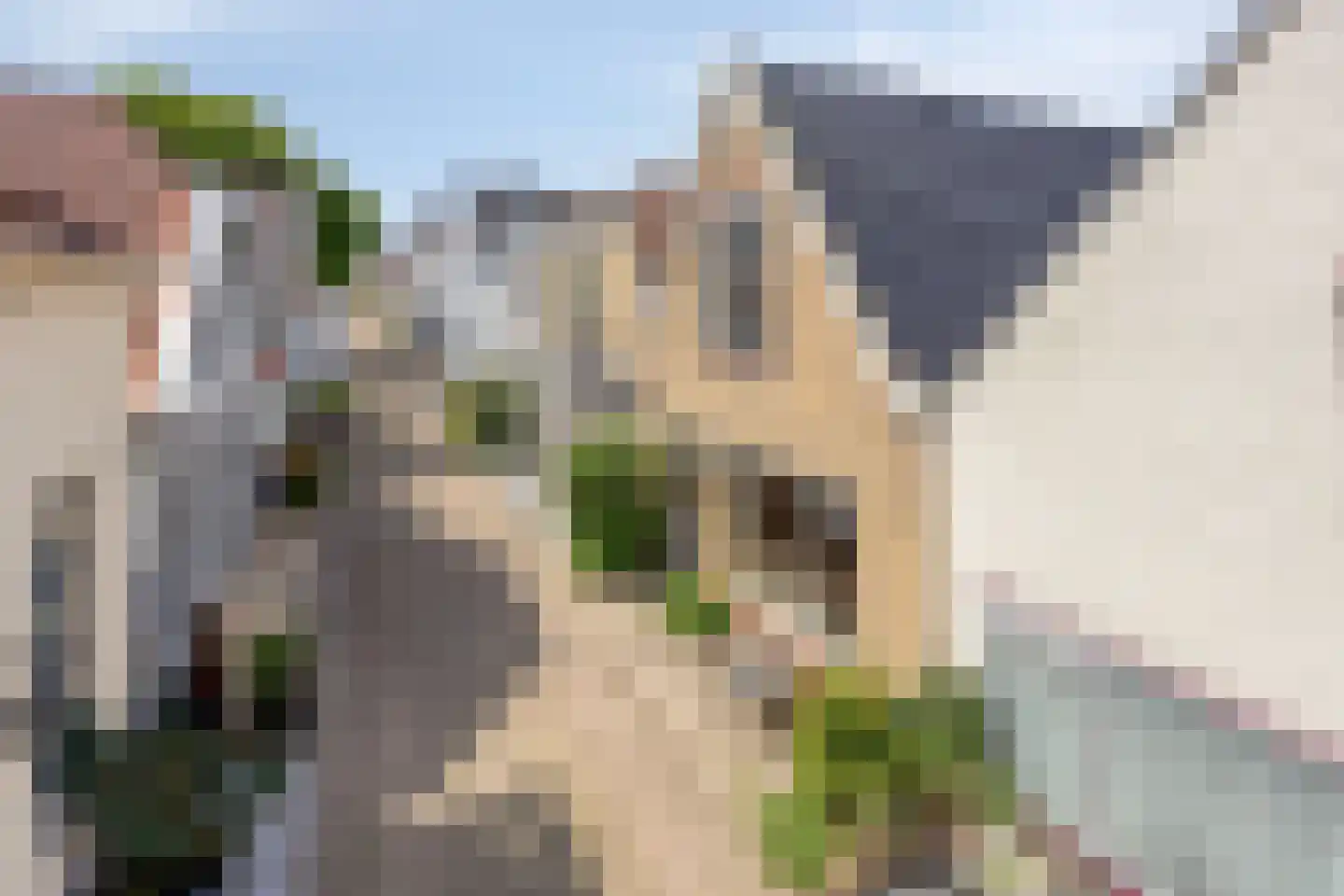 Dorpsstraat 29 Zwartewaal thumbnail 47