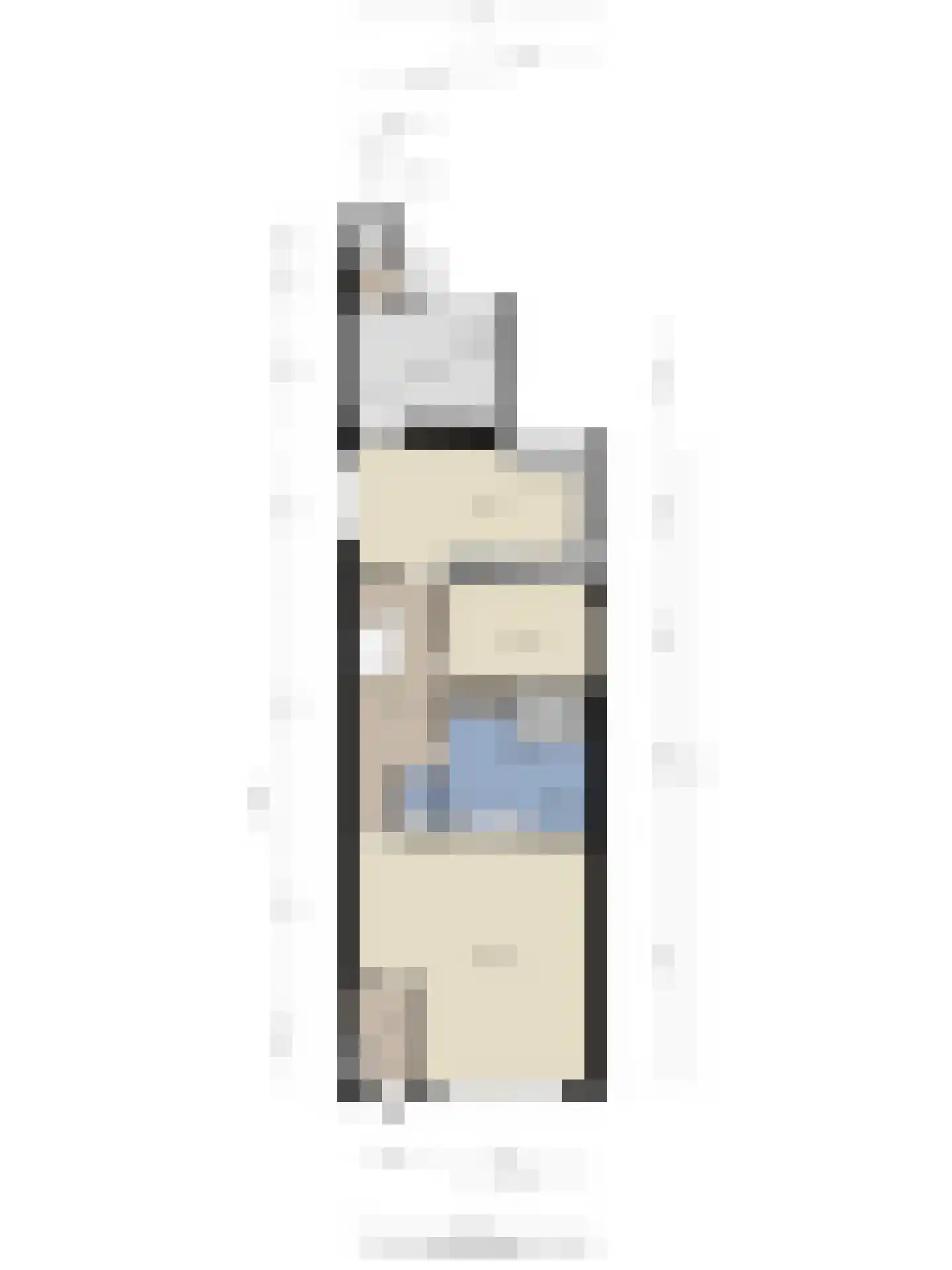 Dorpsstraat 29 Zwartewaal thumbnail 48