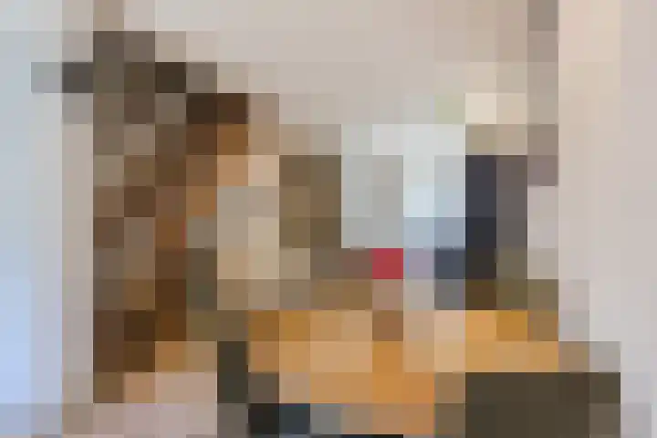 Dorpsstraat 3 Budel thumbnail 10