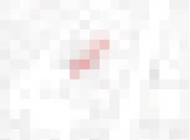 Dorpsstraat 3 Budel thumbnail 33