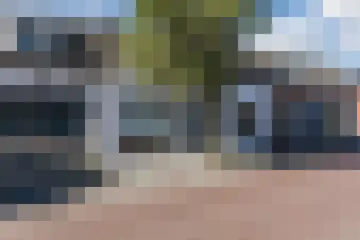 Dorpsstraat 3 Budel thumbnail 34