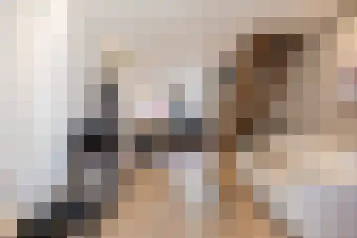 Dorpsstraat 3 Budel thumbnail 7