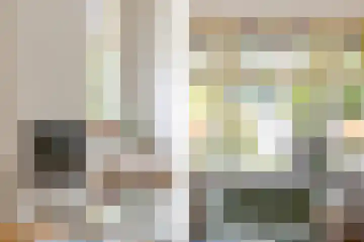 Dorpsstraat 3 Nieuwerkerk aan den IJssel thumbnail 14