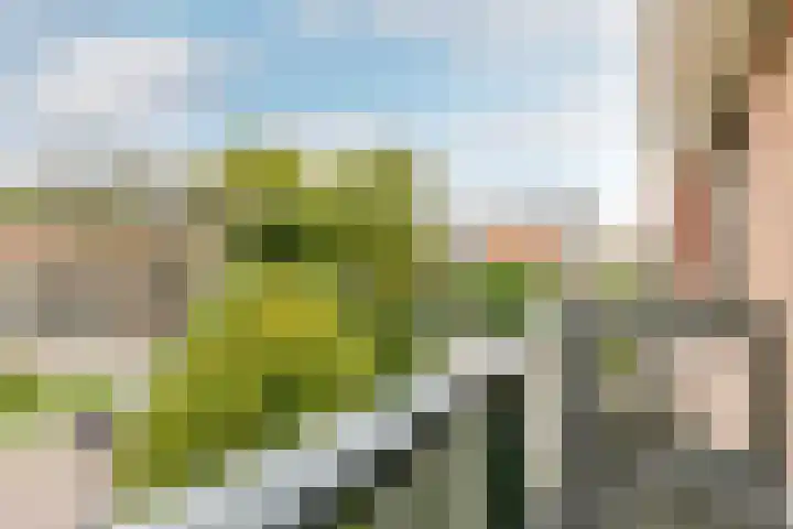 Dorpsstraat 3 Nieuwerkerk aan den IJssel thumbnail 27