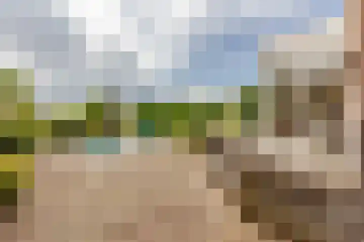 Dorpsstraat 3 Nieuwerkerk aan den IJssel thumbnail 36