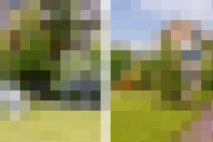Dorpsstraat 3 Nieuwerkerk aan den IJssel thumbnail 37