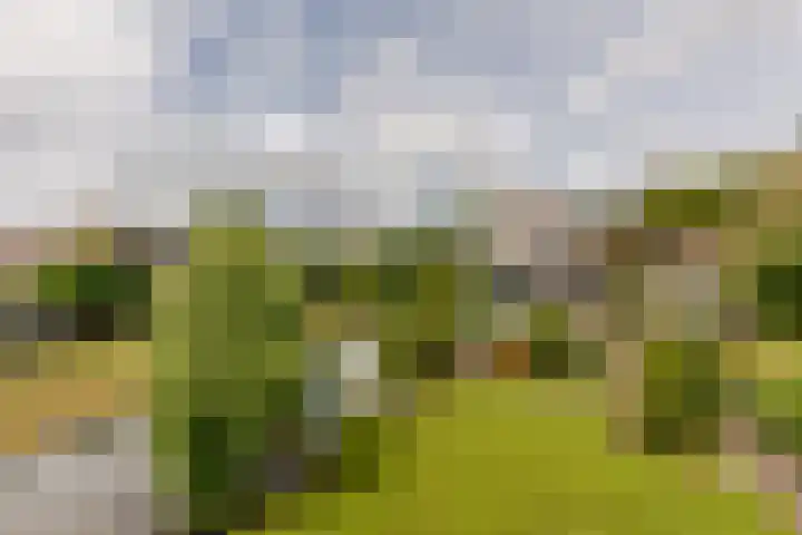 Dorpsstraat 3 Nieuwerkerk aan den IJssel thumbnail 46
