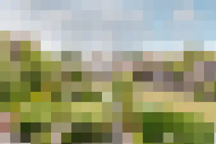 Dorpsstraat 3 Nieuwerkerk aan den IJssel thumbnail 6