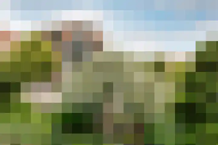 Dorpsstraat 3 Nieuwerkerk aan den IJssel thumbnail 7