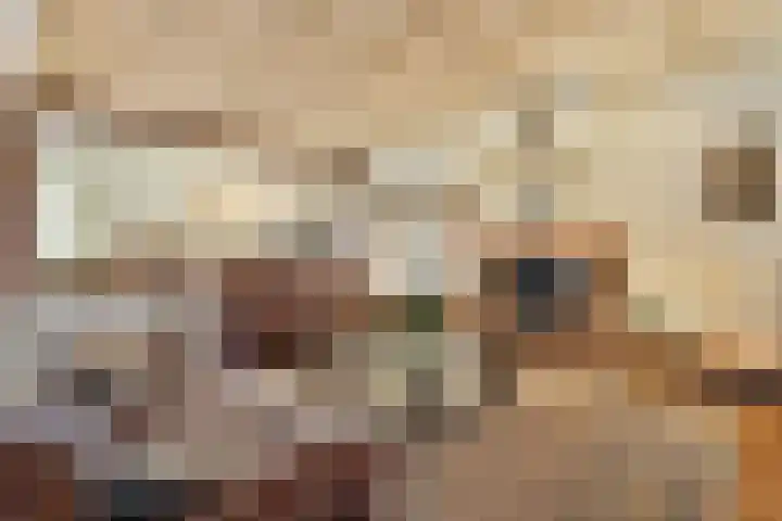 Dorpsstraat 3 Obdam thumbnail 22
