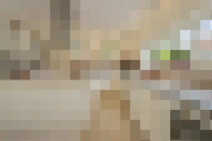 Dorpsstraat 3 Obdam thumbnail 30
