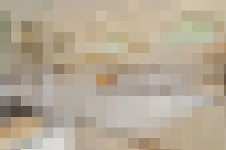 Dorpsstraat 3 Obdam thumbnail 31