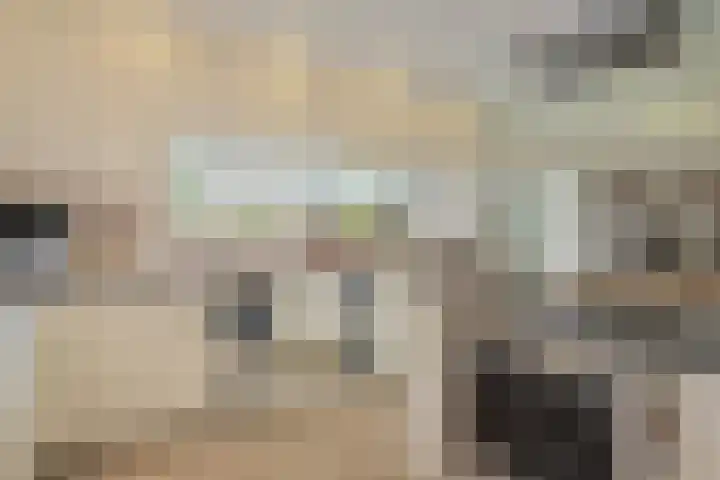 Dorpsstraat 3 Obdam thumbnail 32