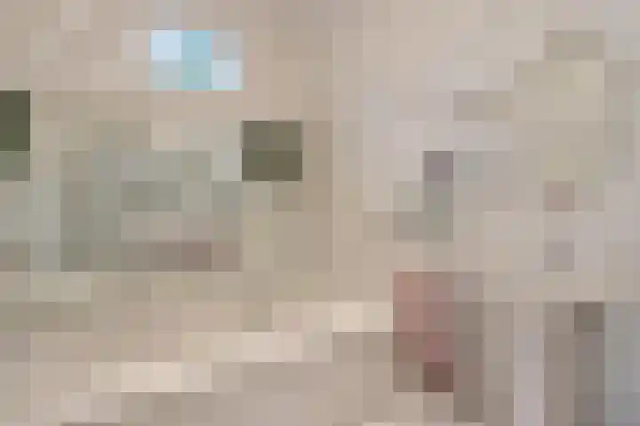 Dorpsstraat 3 Obdam thumbnail 36