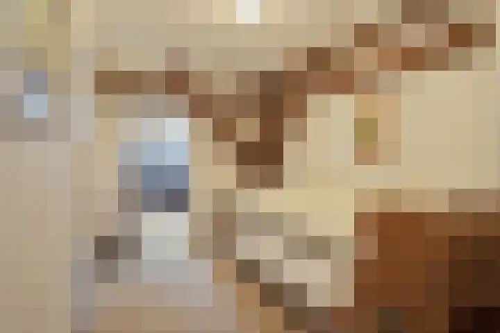 Dorpsstraat 3 Obdam thumbnail 44
