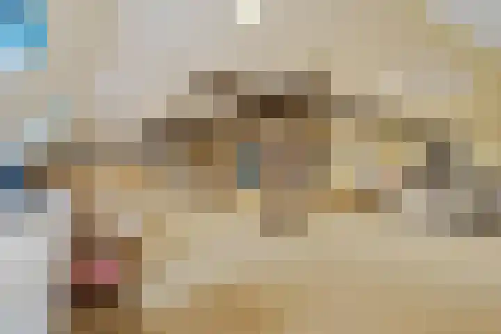 Dorpsstraat 3 Obdam thumbnail 46