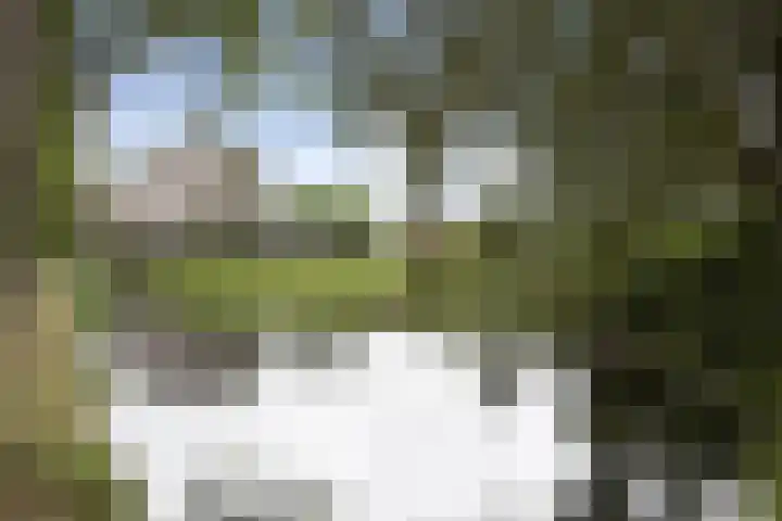 Dorpsstraat 3 Obdam thumbnail 5