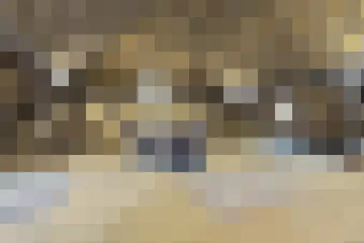 Dorpsstraat 3 Obdam thumbnail 51