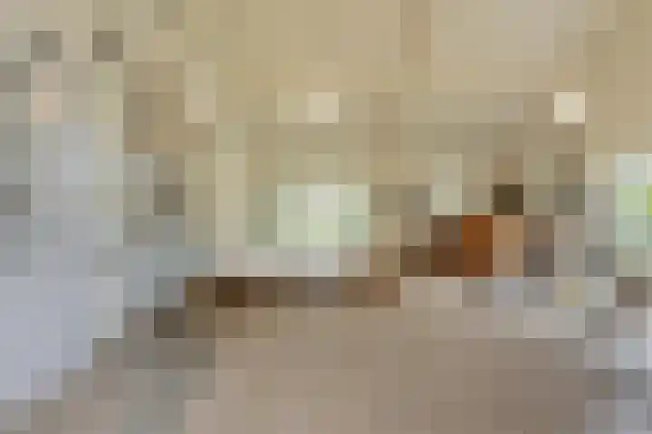 Dorpsstraat 3 Obdam thumbnail 55