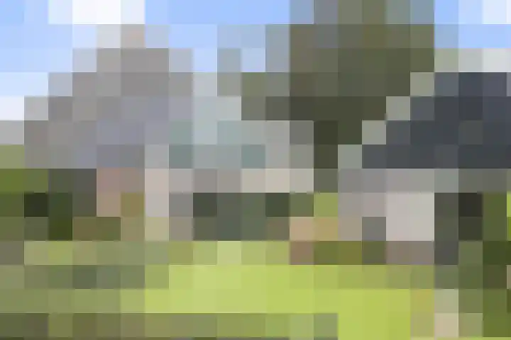 Dorpsstraat 3 Obdam thumbnail 65